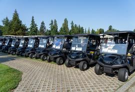 Hilera de carros de golf