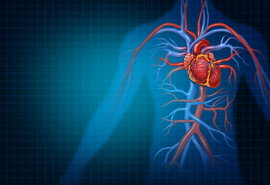 Cardiología, corazón