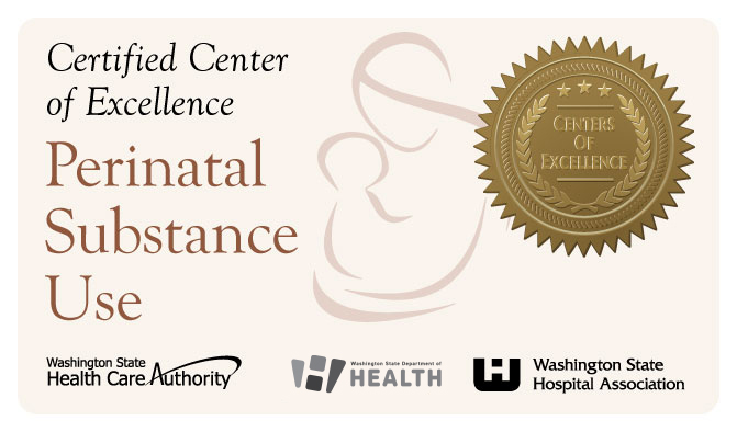 Center of Excellence digital sticker