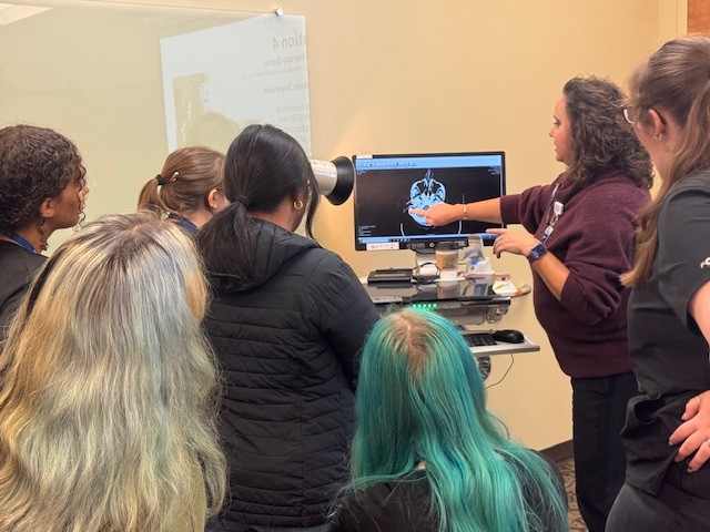 Un grupo de estudiantes mira la pantalla de una computadora con una imagen de una radiografía.