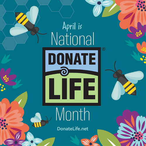 donate live month graphic