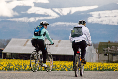 Ciclismo entre tulipanes