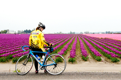 Ciclista en camino con tulipanes