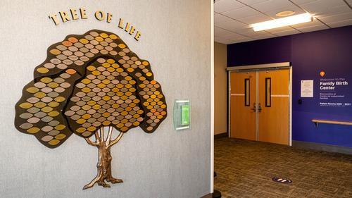 Tree of Life at FBC